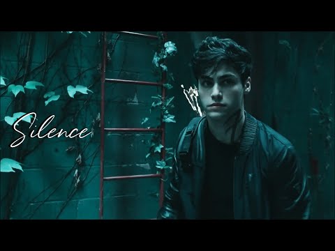 Alec lightwood - silence