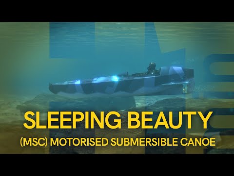 H1MIN:  MSC SLEEPING BEAUTY