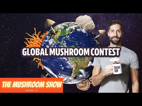 A World Of Mushrooms! 22 Different Types Grown Around The World (The Mushroom Show Episode 15)