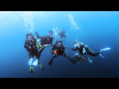 伊豆の海！deepdiving＆wreckdiving！うねりに負けず 熱海で楽しく潜ってきましたよぉ！