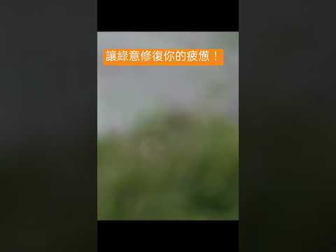 瞬間放鬆的秘密！綠植小空間療癒你的壓力山大！