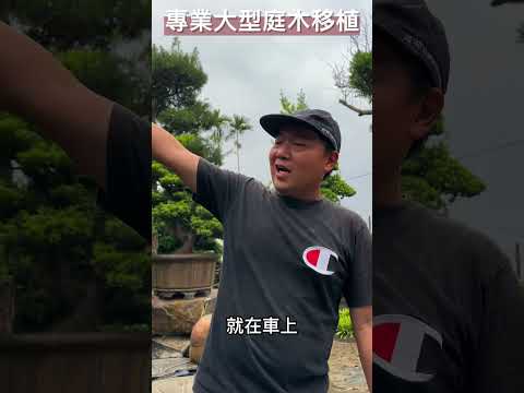 預告‼️預告‼️ 豪墅、公司門面御用款 #台灣銘園 #台灣銘園園藝事業有限公司 #景觀設計