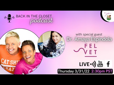 Live with Dr. Amaya Espindola | Two Crazy Cat Ladies