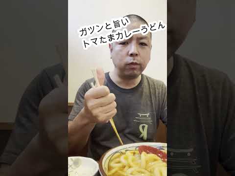 【丸亀製麺】トマたまカレーうどんが旨かった！#shorts