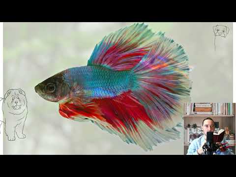 Guppy aquarium fish. Pros and Cons, Price, How to choose, Facts, Care, History