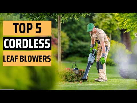 Best Cordless Leaf Blowers 2025 - (Don’t Buy Without Watching This)