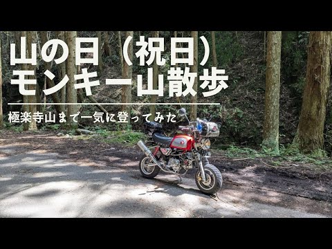 山の日、モンキーで極楽寺山へGo！【88ccカスタムモンキーで遊ぶ #177】