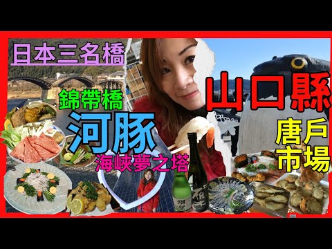 [山口縣 美食攻略 必去景點] 下關 必去 海唐戶市場| 河豚之鄉 必食雞泡魚| 海峽夢之塔 關門海峽| 關門隧道 行去 九州| 火之山公園 睇 下關| 岩国 錦帶橋| 推介 隱世 河豚料理|