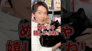 Q：猫と会話できますか？