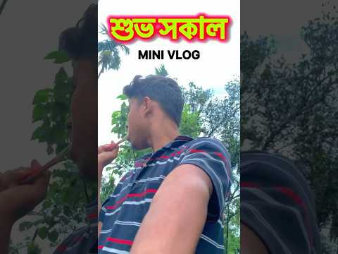 রাতে হাতি এসে কী কী ক্ষতি করলো || village vlog bengali || Mini vlog ❤️ #shorts #bengali