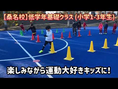 【桑名校】低学年基礎クラス (アジリティトレーニング風景)