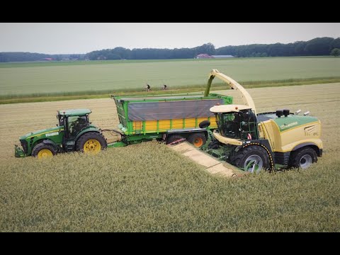 Ganzpflanzensilage (GPS) 2021 Emsland mit zwei Feldhäckslern (Krone & Claas)