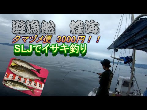 3000円遊漁船『煌海』さんで、SLJイサキ狙い‼️