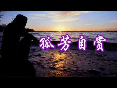 孤芳自赏 ~ 杨小壮