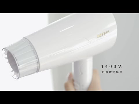 【達新牌】雙電壓負離子折疊吹風機 FD-188