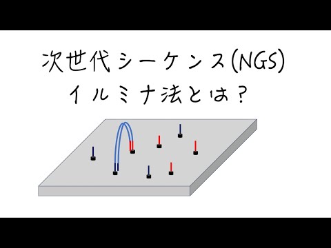 【DNAシーケンス】次世代シーケンスとは？