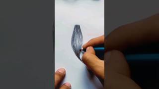 How to draw hair for beginners #art #drawing #hairdrawing #hairdrawingtutorial #shorts