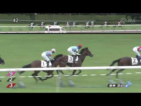 2022/10/10　グランヴィノス　新馬戦