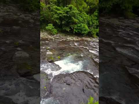 【癒し動画】大分県日田市上津江町川原　程野の滝　#nature 　#松山千春　#shorts