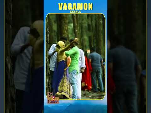 Vagamon | Travel Videos #shorts #mmtravelguide