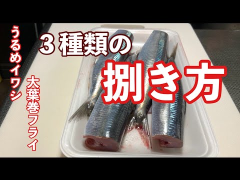 ［節約魚レシピ］今回は　#うるめイワシ　を一匹　100円切ってました　使い大葉巻きフライを　作ります