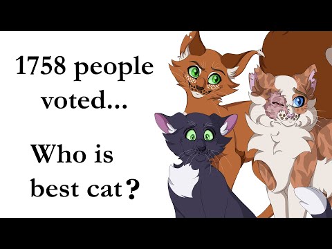 Top 10 MOST LOVED Warrior Cats Characters