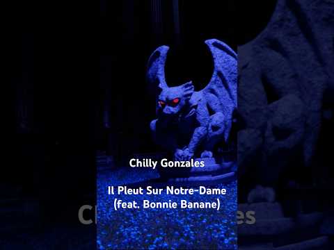 Il Pleut Sur Notre-Dame (feat. Bonnie Banane) #chillygonzales #bonniebanane #notredame #backrooms