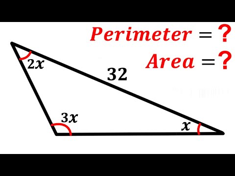 Can you find Area and Perimeter of the triangle? | (Angles) | #math #maths | #geometry