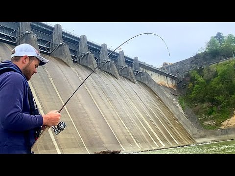 Fishing Below a Massive Dam For Anything That Will Bite!