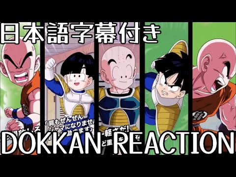 ドッカンバトル LR クリリン&悟飯 先行公開 リアクション Dokkan LR Krillin&Gohan Reaction