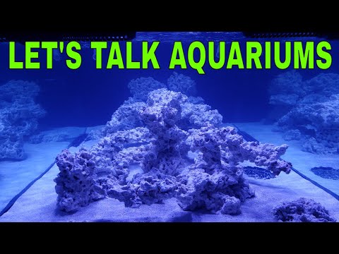 Just another random live stream talking about saltwater aquariums and the hobby.