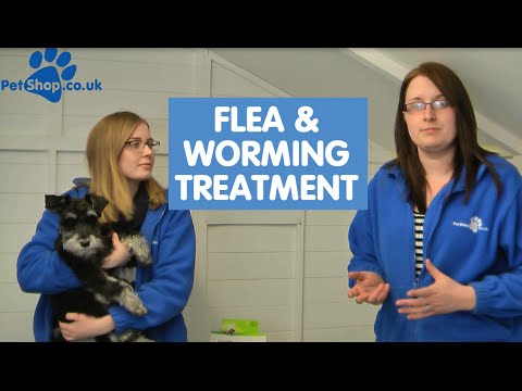 How to use Advantage Flea & Drontal Worming Treatment