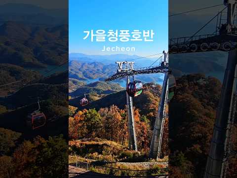 청풍호반의 가을을 만끽할 수 있는 제천 청풍호반케이블카&모노레일올라갈 땐 모노레일, 내려갈 땐 케이블카 #여행에미치다 #청풍호반케이블카 #청풍호 #가을여행 #제천여행 #제천