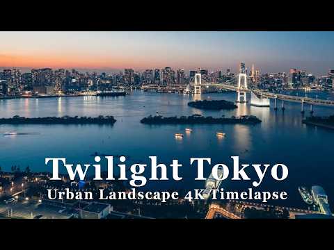 【東京 タイムラプス】Tokyo Japan Twilight TimeLapse