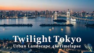 【東京 タイムラプス】Tokyo Japan Twilight TimeLapse