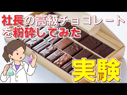 社長の大切な高級チョコレートを粉砕してみた！