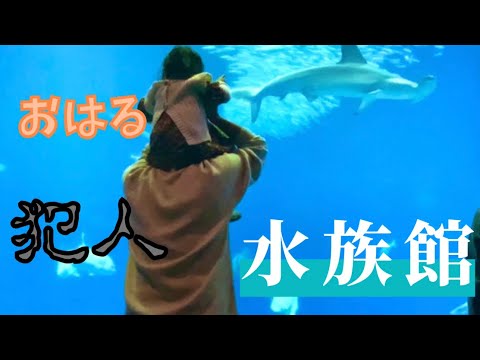 【誘拐されました】大洗水族館に行ったらパパ以外の男性とおはるが・・・