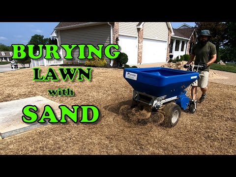 TopDressing my DEAD LAWN with SAND