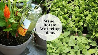 Self watering system for your plants | Wine bottle watering idea |  Studio Vegan