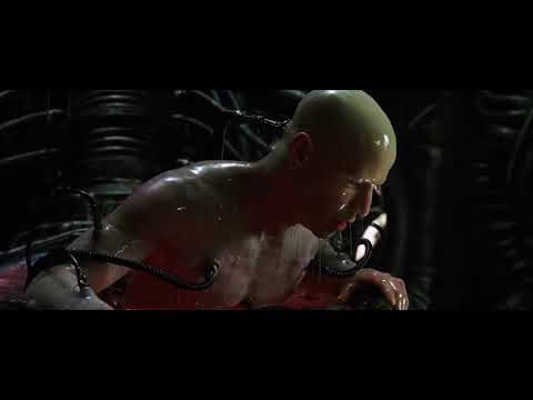 The Matrix/Best scene/The Wachowskis/Keanu Reeves/Neo/Thomas Anderson