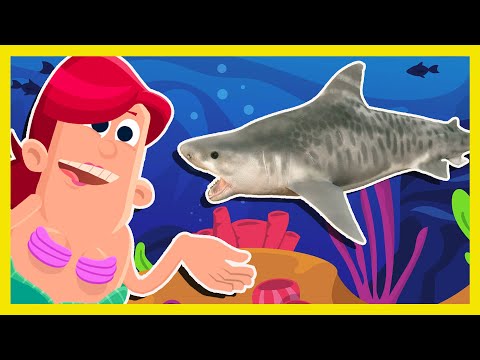 We're Going on a Mermaid Hunt Song | Mister Kipley Monster Hunt Rescue