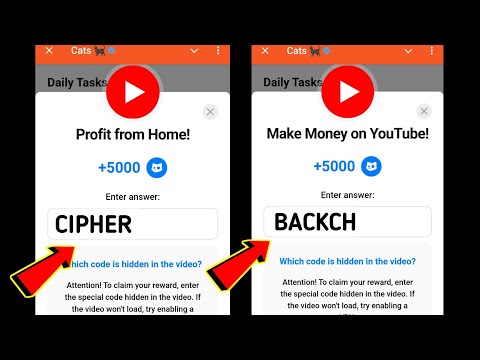 Profit from Home! Cats | Make Money on YouTube! Cats | 10-11 December Cats All Video Codes Today