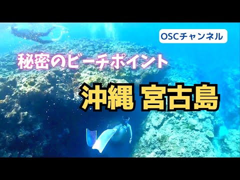 上級者限定！水中トンネルあり！秘密のビーチポイントでスキンダイビング！in 沖縄・宮古島（伊良部・下地島）