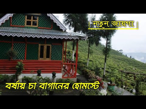 Rungmook Tea Garden ~ Raya Dhura, Darjeeling ↑ Travel Vlog #169 with Santanu Ganguly