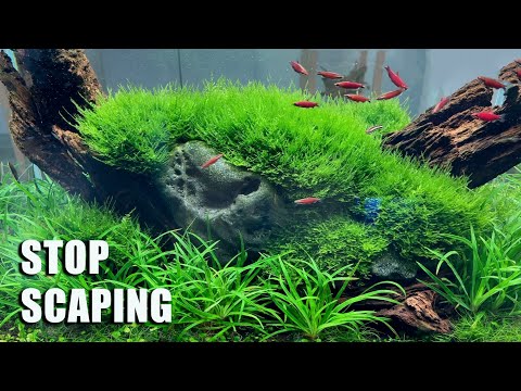 When It's Just Too Much and You Have To Stop Aquacaping