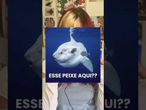 o peixe mais INÚTIL do mundo??? (ou será q não)