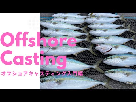 【釣行記】シラスパターンキャスティング編【無限青物】