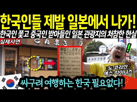 중국 관광객 모여든지 한 달만에 일본 사장들 뒷목 잡고 쓰러진 이유는?