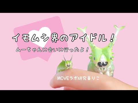 【オオムラサキ】MOVEラボ研究員・りこがイモムシ界のアイドル・むぅちゃんに会いに行ってきた！