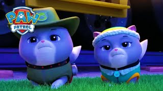 皇家猫 - PAW Patrol 汪汪隊立大功 - 兒童卡通